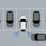 Cross Traffic Monitor (CTM)